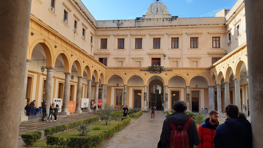 I Percorsi di Studi Più Gettonati a Palermo: Tra Università e Aspirazioni